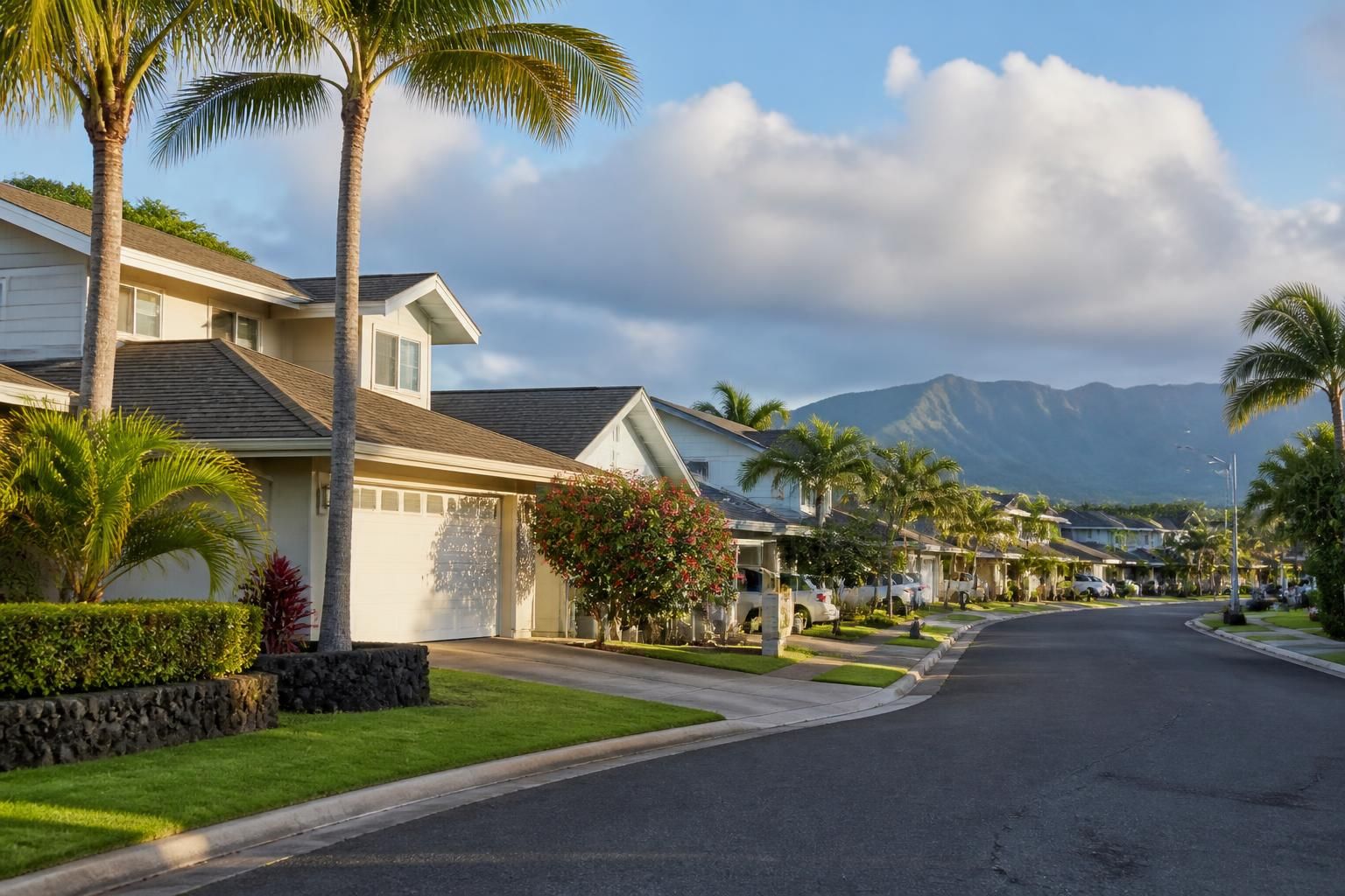 Tidy Pearl City residential street with palm trees and soft light.